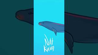 The seal's movement cycle under water #procreate #loop #animation #2D #动画制作 #seal #cycle