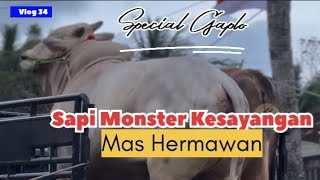 Download Lagu Buset❗ Mas Hermawan Bawa Gaplo Nyalon MP3 Download Lagu Buset❗ Mas Hermawan Bawa Gaplo Nyalon MP3