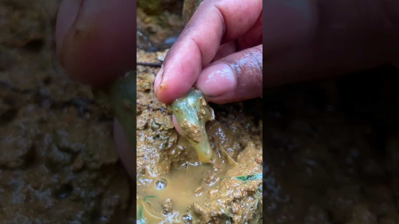 Finally Found $2.1 million Golden Beryl 