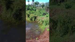 nossa humilde residencia #vidanaroça #viral #noisnomato