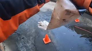 Blocked % Drain 703