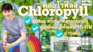 Chlorophyll คลอโรฟิลล์ LGBTQ ควรกิน ลดกลิ่นปาก-ทวารหนัก กันมะเร็งลำไส้ ดีท๊อกสารพิษ บอกบุญหน่อย EP14