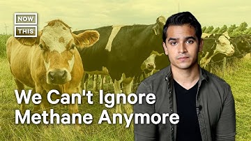 Methane: The Greenhouse Gas We Can No Longer Ignore