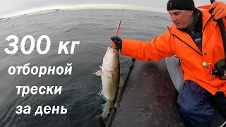 видео: ОЧЕНЬ УДАЧНАЯ АПРЕЛЬСКАЯ РЫБАЛКА НА ВОСТОКЕ О. КИЛЬДИН В БАРЕНЦЕВОМ МОРЕ  / VERY SUCCESSFUL FISHING картинка: ОЧЕНЬ УДАЧНАЯ АПРЕЛЬСКАЯ РЫБАЛКА НА ВОСТОКЕ О. КИЛЬДИН В БАРЕНЦЕВОМ МОРЕ  / VERY SUCCESSFUL FISHING