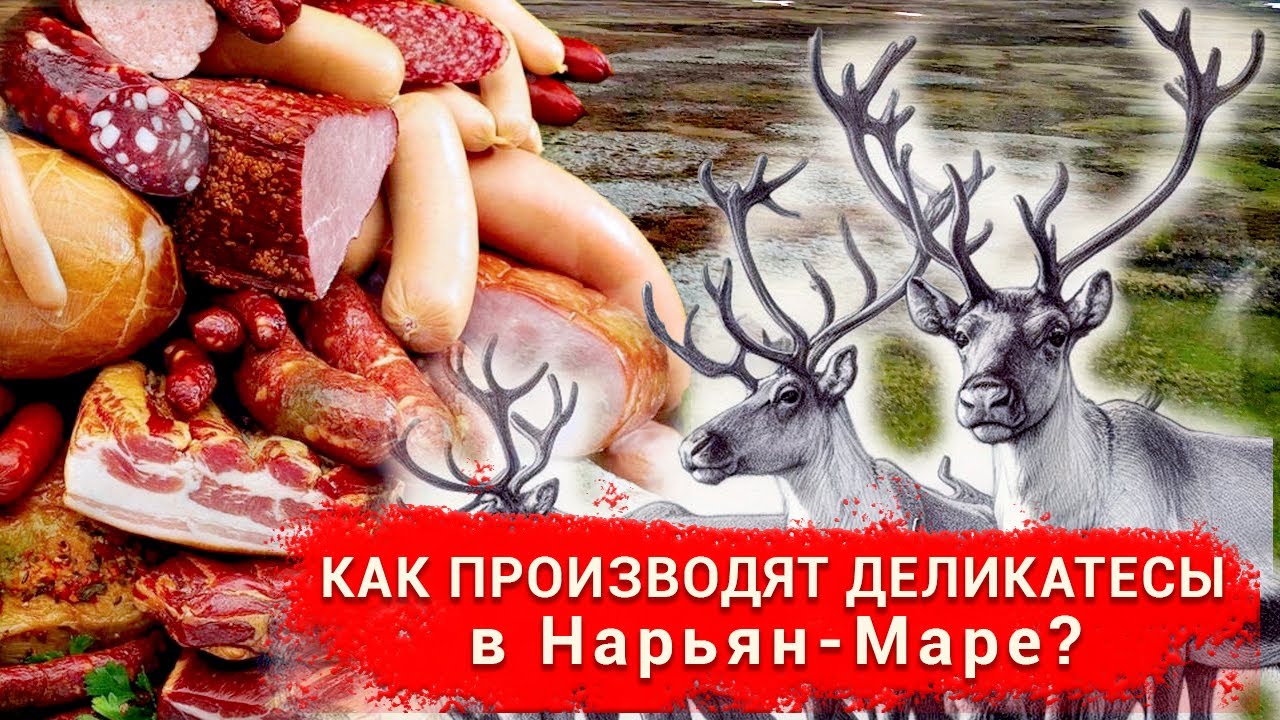 250 тонн Оленины. - YouTube
