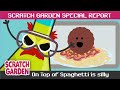 Understanding the Silly Video