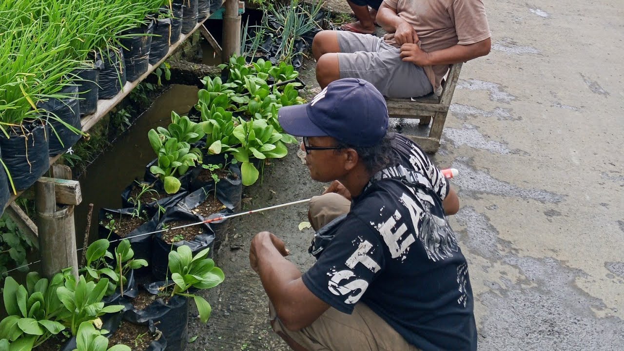 live mancing..!! Mancing ikan di gorong-gorong pinggir jalan raya