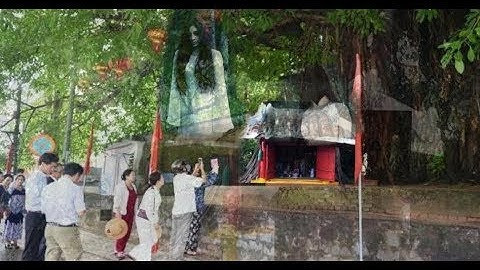 Ly kỳ cây sộp 300 tuổi và ngôi miếu bí ẩn chưa lời giải ở Phan Thiết