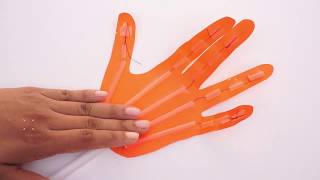 Awesome Muscle System Hand Craft | Kids Paper DIY