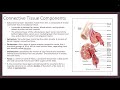 Muscular System Part 1