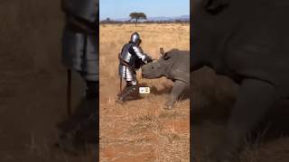 knight vs rhino whoo will win #animals