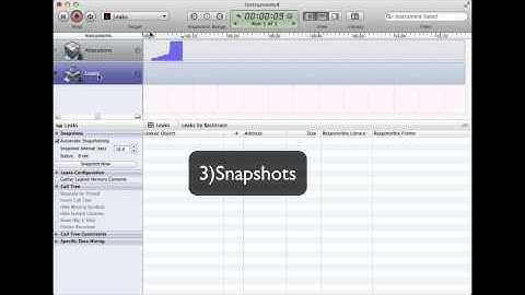Finding memory leaks in Delphi iOS apps