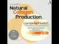 Liposomal vitamin c supports collagen production