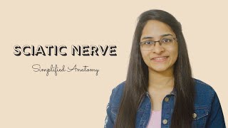 SCIATIC NERVE | ANATOMY | SIMPLIFIED