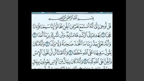 عامر الكاظمي سورة الجن