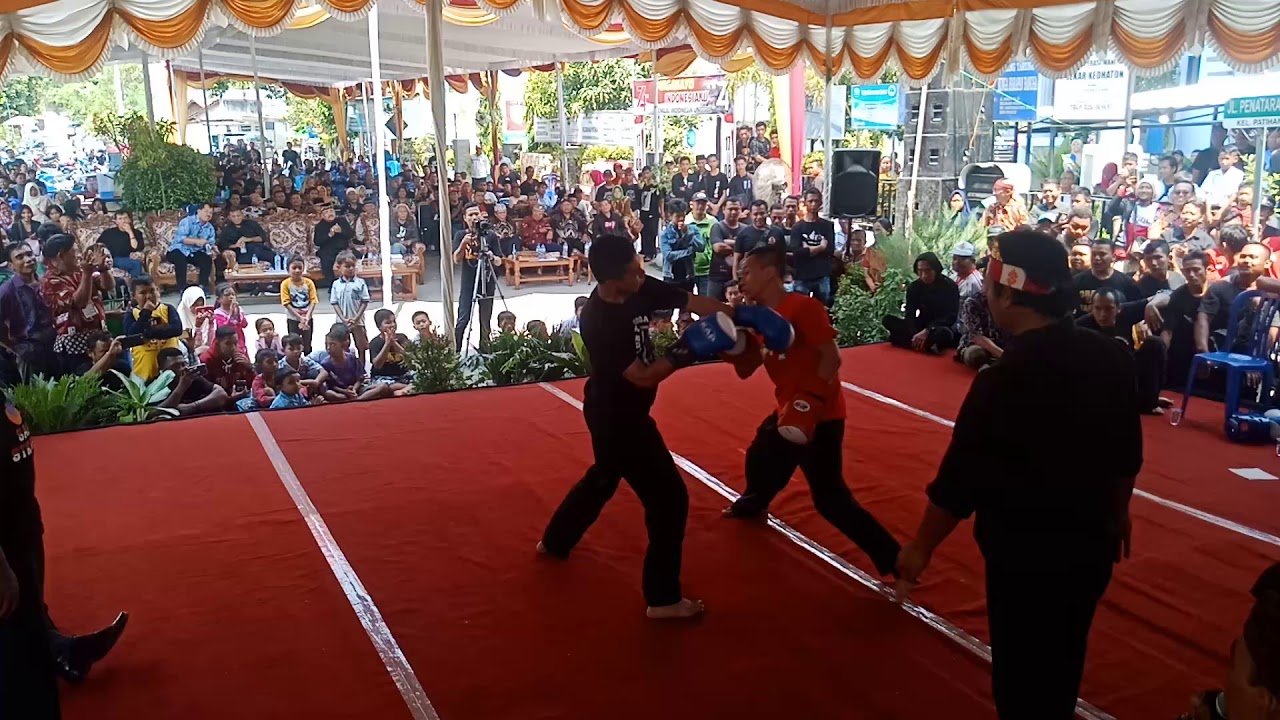 STK BOXING .SURAN AKBAR 2019 . Persaudaraan Setia Hati Sedulur Tunggal Kecer (STK BOXING)