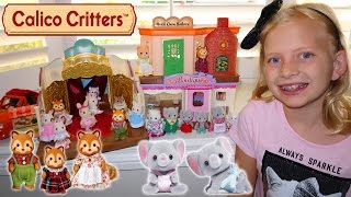 Calico Critters Playtime Fun: Trouble with the Twins