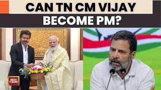 TVK's Vijay vs Rahul Gandhi For 2029? Congress Says 'Fan Club Mode' | India Today