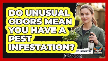 Do Unusual Odors Mean You Have A Pest Infestation? - Insects and Invaders