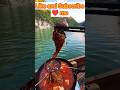 😘Fish curry 🐠😲 खाने मे मजा आ गया। #shorts #trending #explore  #fishing #fish #viralvideo #viral ..