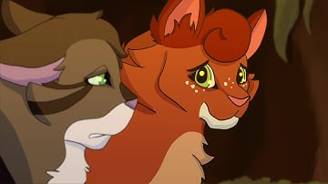 Fix You- Leafpool and Hollyleaf MAP [Part 7]