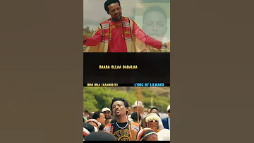 New Oromo Music 2025 Ibsa Ibro Kaamolee Borana Arsii Oromomusic Oromo Oromoculture 