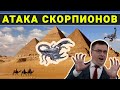 На египтян напали скорпионы / Роботы вместо мигрантов / Воришки крадут зеркала заднего вида