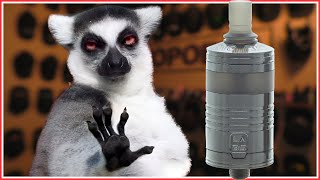 LABS MTL RTA суета ради суеты