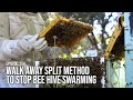 Splitting beehives using the walk away split method to stop bee hive swarming   the bush bee man