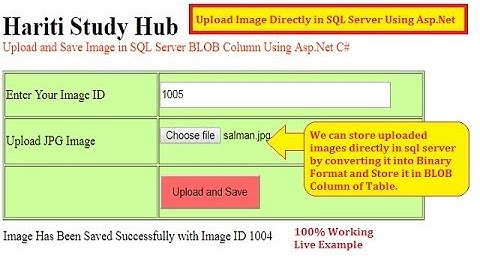 Upload and Save Image in SQL Server as BLOB Data with Asp.Net C# | Hindi | Free Online Learning