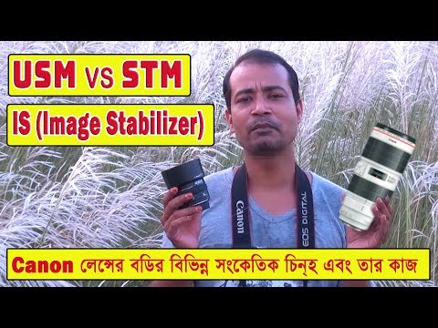 stm vs usm lens