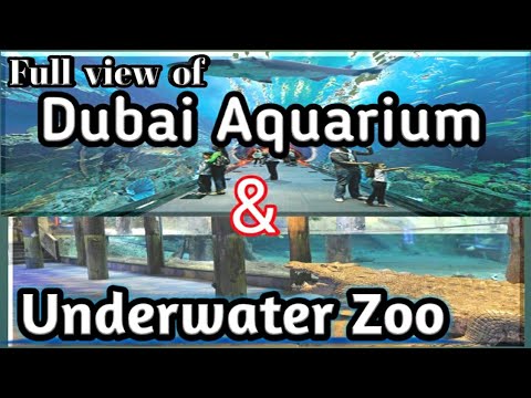 Experience in the World of Dubai Aquarium & Underwater Zoo