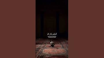 ﴿ الذّين أمنَوا وتَطمئِن قلُوبهم بذِكرِ الله ﴾ سوره الرعد، عبدالرحمن مسعد #قرآن #ارح_قلبك #قران_كريم