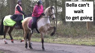 The run away horse was found safe and sound. Bella want&#39;s to get going... and we&#39;re off 🎉