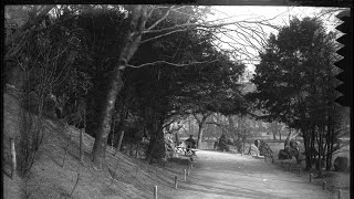 Sent To Archive - Antwerpen Stadspark