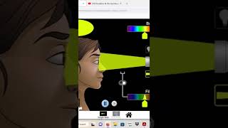 Full Vision Color Simulation News