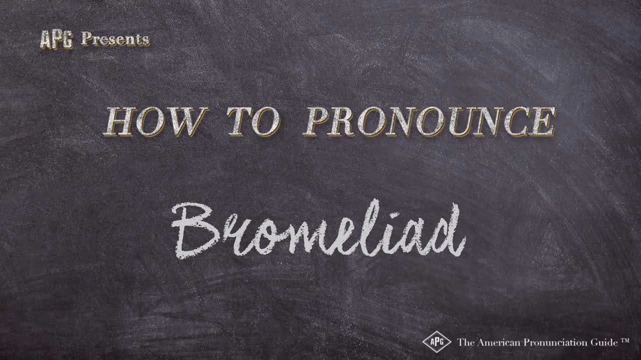 How To Pronounce Quinoa How To Pronounce Quinoa