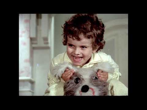 Veronica se întoarce (1973)