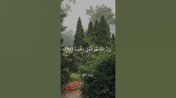 أَلَمْ تَرَ أَنَّ اللَّهَ أَنزَلَ مِنَ السَّمَاءِ مَاءً || سورة الحج || علي جابر