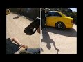Deputy Tases Man Who Had His Hands Up