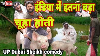 इतना बड़ा चूहा होती | UP Dubai Sheikh Comedy | #viral Comedy video 2022 || Mr DILIP COMEDY