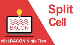 Celebrity clickBACON Ninja Tip - Split Cells Profile