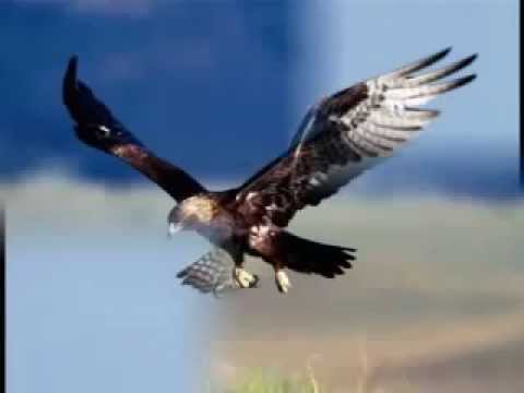 \"მარტოობა\" ვაჟა-ფშაველა