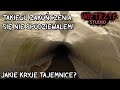 Ukryty tunel pod miastem czstochowa jakie kryje tajemnice wyprawa w ciemno  wietrzyk studio