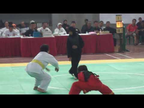 Pancak Silat Elang Putih Nala  MTs  Lombok Kulon Vs Tapak Suci SMPN 2 Tenggarang