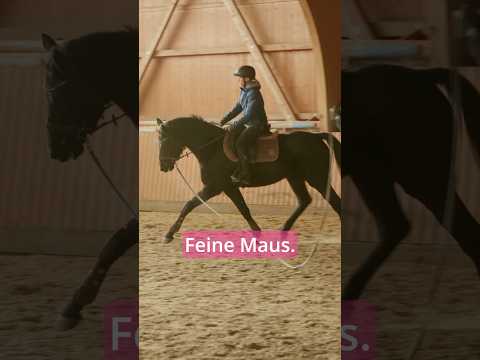 Preview 19 Uhr neues YouTube Video! Einschalten! Donna das erste Mal frei unter dem Sattel