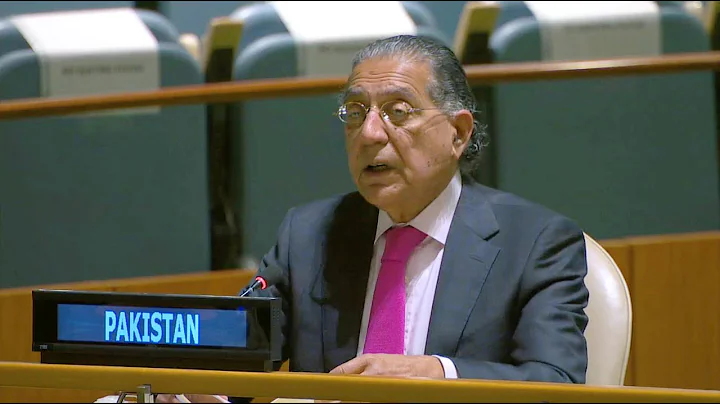 Ambassador Munir Akram's statement in the Third Committee of the UN General Assembly