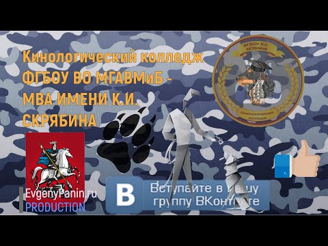 КАК СТАТЬ КИНОЛОГОМ?! Кинологический колледж ФГБОУ ВО МГАВМиБ имени К.И. Скрябина открывает секреты!