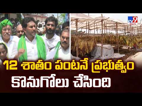 12 శాతం పంటనే ప్రభుత్వం కొనుగోలు చేసింది : YS Jagan - TV9 - TV9