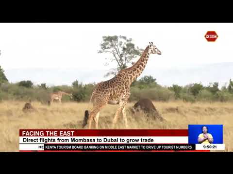 Kenya Tourism Board Banking On Middle East Market To Drive Up Tourist Numbers